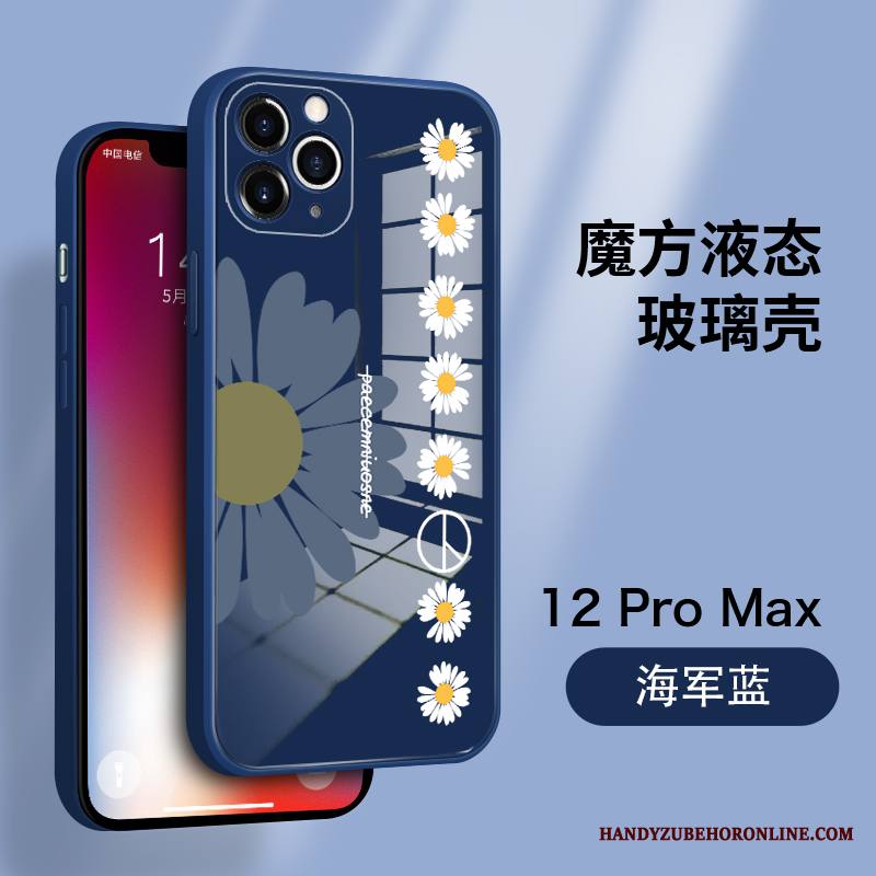 iPhone 12 Pro Max Kuori Persoonallisuus Karkaisu Ultra Ylellisyys All Inclusive Uusi Kotelo