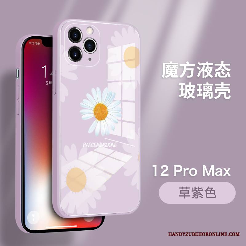 iPhone 12 Pro Max Kuori Persoonallisuus Karkaisu Ultra Ylellisyys All Inclusive Uusi Kotelo