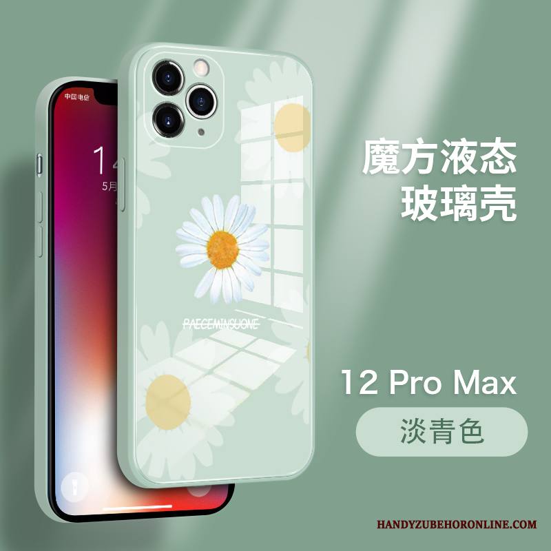 iPhone 12 Pro Max Kuori Persoonallisuus Karkaisu Ultra Ylellisyys All Inclusive Uusi Kotelo